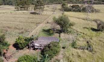 Imagem 2: Sitinho uma graca 4 alqueires em Alvares Florence- muito bom 650mil no asfalto