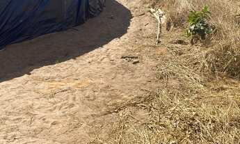 Imagem 5: Vendo Fazenda 6.700 hectares na região de Primavera do Leste- MT