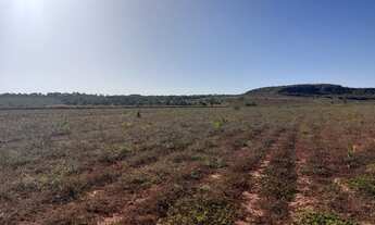 Imagem 7: Fazenda 50 alqueirão 110 km de Uberlândia