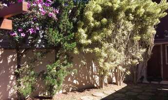 Imagem 6: Bela casa linear nas Braunes