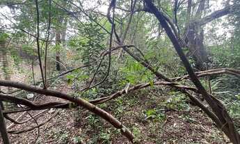 Imagem 3: Porto Alegre - Terreno Padrão - Ipanema