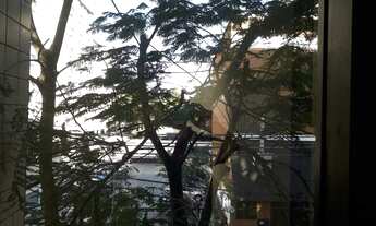 Imagem 4: Rio de Janeiro - Conjunto Comercial/Sala - Freguesia (Jacarepaguá