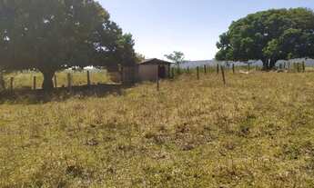 Imagem 2: Fazenda 174 Alqueires, Formosa, GO