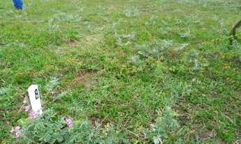 Imagem 2: Lote em Zumbi 15X30 (Repasse )- Rio do Fogo/RN