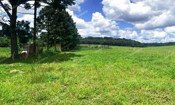 Imagem: Excelente chácara Sem Benfeitorias