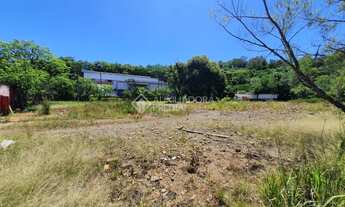 Imagem 10: NOVO HAMBURGO - Terreno Padrão - Alpes do Vale