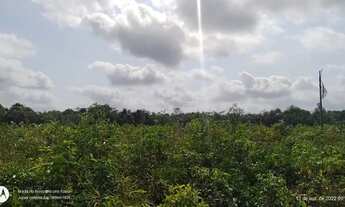 Imagem 2: R$ 300 mil reais 120 hectares em Magalhães Barata Pará