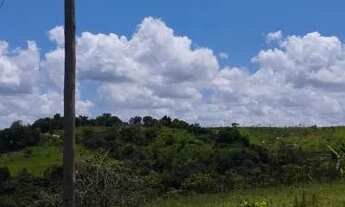 Imagem 5: São Joaquim de bicas lotes proprietário