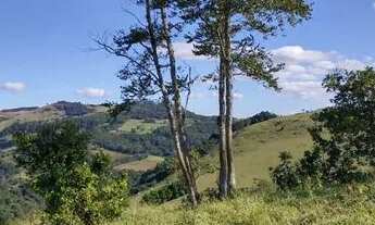 Imagem 7: Magnifico terreno 2 hectares (20 mil mt2) em Munhoz