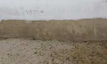 Imagem 5: Casa em Piranema