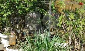 Imagem 6: Casa-São Paulo-HORTO