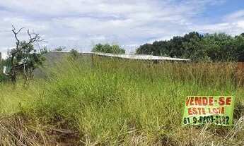 Imagem 3: Vendo lote em Brasilinha GO - Facilito