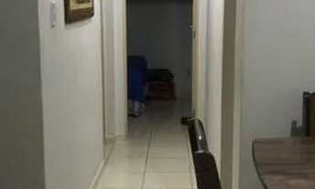 Imagem 7: Vivendas tropical - São Brás