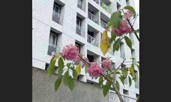 Imagem 2: Apartamento para aluguel com 50 metros quadrados com 2 quartos