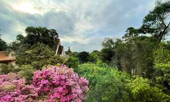 Imagem 7: GRAMADO - Padrão - Planalto