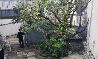 Imagem 5: Casa com 3 quartos 4 vagas em terreno grande próximo a Estrada Kizaemon Takeuti