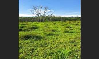 Imagem 5: Fazenda histórica + 100 anos de atividades