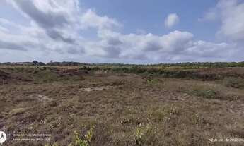 Imagem: R$ 300 mil reais 120 hectares em Magalhães