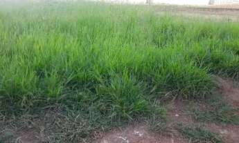 Imagem 5: Negócio de Oportunidade,vende uma área escriturada e registrada 444 mts quadrados 90 mil