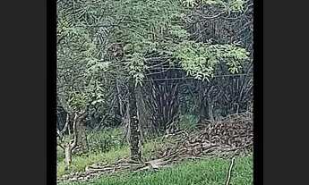 Imagem 5: Vende-se Granja paraíso loteamento ilha bela