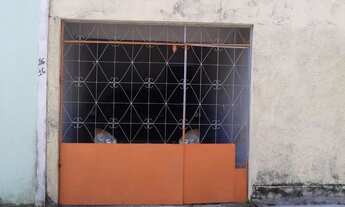 Imagem 5: Vendo uma excelente casa sítio