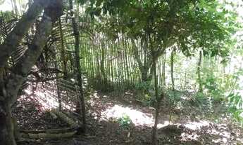 Imagem 3: Casa em Itaporanga D'Ajuda Nova Descoberta