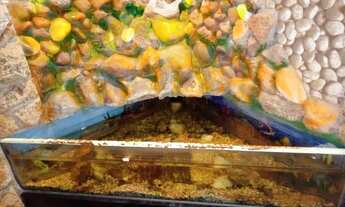 Imagem 5: Vendo essa casa Casa com 3 dormitórios