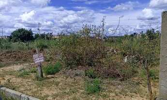 Imagem 3: Lote 180m2 em Santo Hipólito