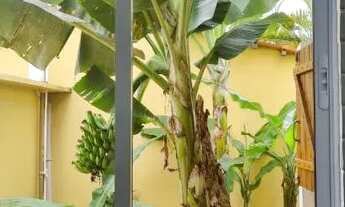 Imagem 9: Linda casa para entrar e morar - Alto Paraíso de Goiás - GO