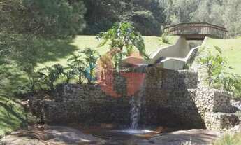 Imagem 5: Terreno Padrão em Jambeiro