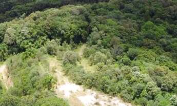 Imagem 7: Chácaras de 2 hectares com muita água