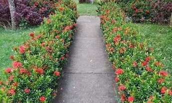 Imagem: Apartamento para venda possui 45 metros