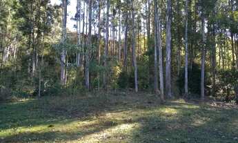 Imagem 3: CHACARA COM REFLORESTAMENTO