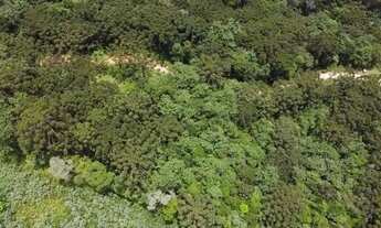Imagem 6: Chácaras de 2 hectares com muita água