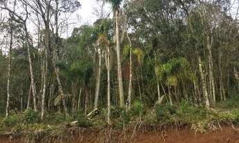 Imagem 3: Terreno no Loteamento Terras Altas em Gramado!