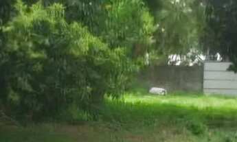 Imagem 3: Terreno à venda em Presidente Altino, Osasco - Ótima localização e infraestrutura!