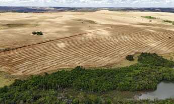 Imagem 7: Fazenda de 250 Alqueries