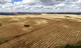 Imagem: Fazenda de 250 Alqueries