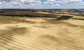 Imagem 4: Fazenda de 250 Alqueries