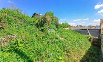 Imagem 3: Imóvel para venda tem 380 metros quadrados em Pilarzinho - Curitiba - PR