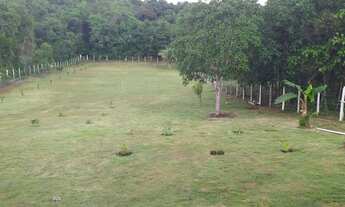 Imagem 7: Fazenda/Sítio/Chácara para venda com 3000 metros quadrados em Urubuí - Rio Preto da Eva