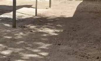 Imagem 5: Vende-se casa no Barro Duro