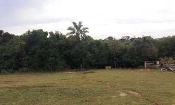 Imagem 4: Lote em SITIO SANTO ANTONIO - limoeiro - São Pedro/SP