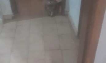 Imagem 3: Salão na João Passos