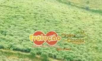 Imagem 2: Terreno Rural / Iara