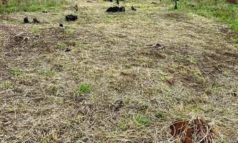 Imagem 3: CONHEÇA ESSE PARAISO PERTINHO DA NATUREZA! - Atibaia - SP