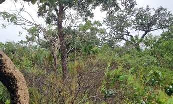 Imagem 7: Fazenda 158 hectares valor 1.120.000