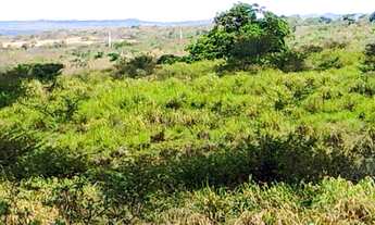 Imagem 4: 34,5 Tarefas (150.282m²