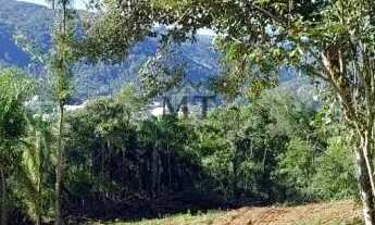 Imagem 6: Área de terra bairro Joaneta, Picada Café.RS REF: 434