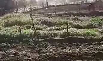 Imagem 7: Ótima Estrutura Numa Área 5 hectares.100% Aproveitável..Aceita veículo/imóvel.